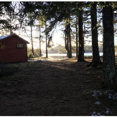 Cabin In The Woods, Lolandsvannet Near Kristiansand Vennesla Extérieur photo