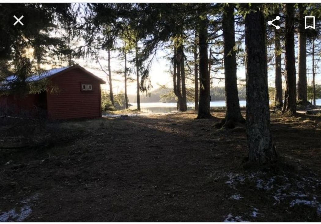 Cabin In The Woods, Lolandsvannet Near Kristiansand Vennesla Extérieur photo